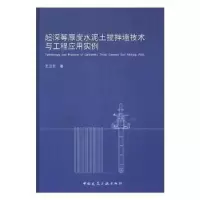 音像超深等厚度水泥土搅拌墙技术与工程应用实例王卫东著