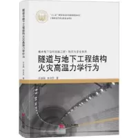 音像隧道与地下工程结构火灾高温力学行为闫治国,朱合华著