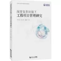 音像深度变革环境下工程项目管理研究牟强,夏晨,徐航宇著