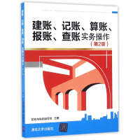 音像建账记账算账报账查账实务操作(第2版)编者:财政与税收编写组