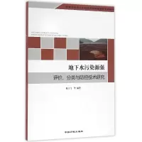 音像地下水污染源强评价分类与防控技术研究编者:席北斗