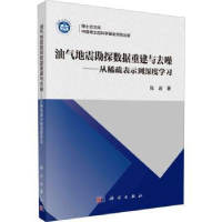 音像油气地震勘探数据重建与去噪:从稀疏表示到深度学习张岩著