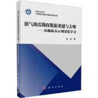 音像油气地震勘探数据重建与去噪:从稀疏表示到深度学习张岩著