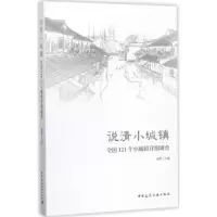 音像说清小城镇:全国121个小城镇详细调查赵晖等著