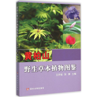 音像黄柏山野生草本植物图鉴王齐瑞,张琳 主编