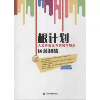 音像根计划王一臣 著