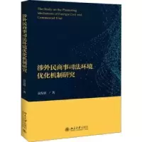 音像涉外民商事司法环境优化机制研究袁发强著