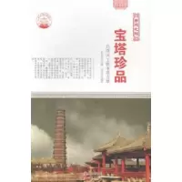 音像宝塔珍品:巧夺天工的古塔肖东发主编