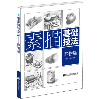 音像素描基础技法灌木文化 编著