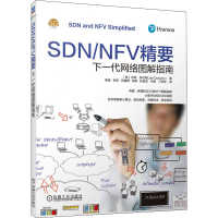 音像SDN/NFV精要 下一代网络图解指南(美)吉姆·多尔蒂