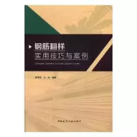 音像钢筋翻样实用技巧与案例陈怀亮,王珏编著