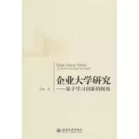 音像企业大学研究:基于学习创新的视角吴峰著