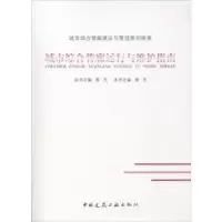 音像城市综合管廊运行与维护指南胥东主编