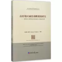 音像高原地区减贫战略规划研究黄承伟 等 著