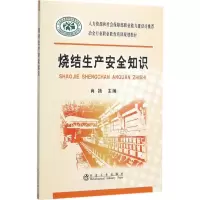 音像烧结生产安全知识肖扬 主编