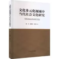 音像文化多元化视域中当代社会文化研究康洁,胡雨霞,刘冬雪著