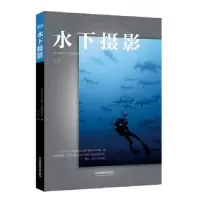 音像水下摄影(德)托比亚斯·弗里德里希|译者:冯严