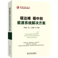 音像碳达峰碳中和能源系统解决方案罗必雄,张力,张炳成等编著