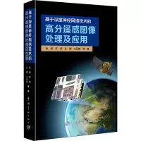 音像基于深度神经网络技术的高分遥感图像处理及应用张强 等