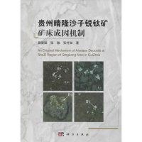 音像贵州晴隆沙子锐钛矿矿床成因机制聂爱国,张敏,张竹如 著