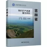 音像吉林省铁矿矿产资源潜力评价松权衡等编著