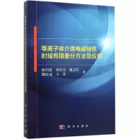 音像等离子体介质电磁特时域有限差分方法及应用杨利霞 等 著