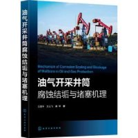 音像油气开采井筒腐蚀结垢与堵塞机理万里平,文云飞,桑琴著