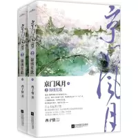 音像京门风月西子情 著