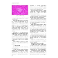 音像内分泌疾病与脂代谢异常赵家军,严励主编