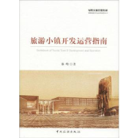 音像旅游小镇开发运营指南林峰著