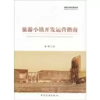 音像旅游小镇开发运营指南林峰著