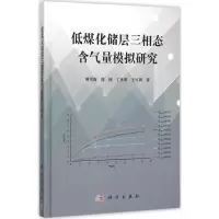 音像低煤化储层三相态含气量模拟研究傅雪海 等 著