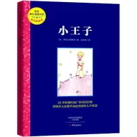 音像小王子(法)安东尼·德·圣埃克苏佩里 著;孙悦星 译