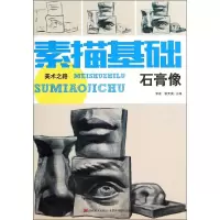 音像素描基础李遂,张天爽 主编;刘勃通 著