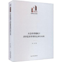 音像应急管理视域下消防监督管理的走向与未来张华著