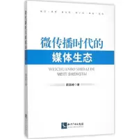 音像微传播时代的媒体生态陆高峰 著