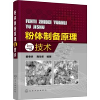 音像粉体制备原理与技术姜奉华,陶珍东编著