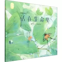 音像纷繁版纳之活在生命里赵怀东