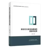 音像新时代行政法治建设的实践与反思李凌云著