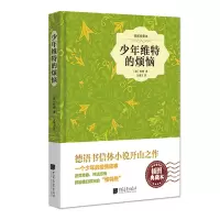 音像少年维特的烦恼歌德