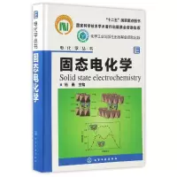 音像固态电化学(精)/电化学丛书编者:杨勇