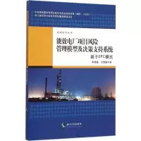 音像能效电厂项目风险管理模型及决策支持系统李艳梅,王敬敏 著