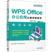 音像WPS Office办公应用从新手高李岩松