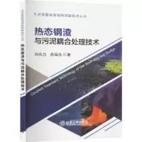 音像热态钢渣与污泥耦合处理技术肖永力,苏福永著