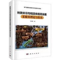 音像纳微米非均相流体提高油藏采收率理论与技术朱维耀著