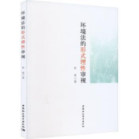 音像环境法的形式理审视杜寅著