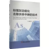 音像粉煤灰功能化去除水体中砷的技术韩彩芸著
