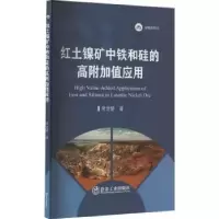 音像红土镍矿中铁和硅的高附加值应用常龙娇著