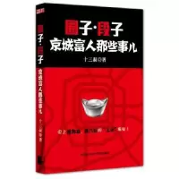 音像圈子·段子京城富人那些事儿十三叔著
