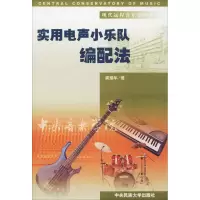 音像实用电声小乐队编配法龚耀年